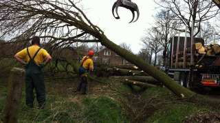 bomen opruimen in Breda Eindhoven Vught Breda Ulvehout, Chaam Poppel Antwerpen Turnhout grensstreek Esbeek Hilvarenbeek